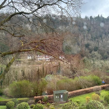 10 Wye Rapids Cottages Symonds Yat Kültér fotó