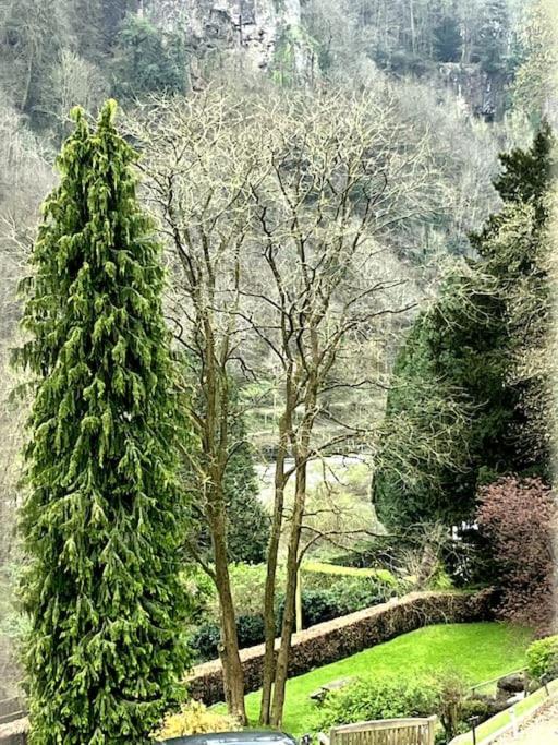 10 Wye Rapids Cottages Symonds Yat Kültér fotó